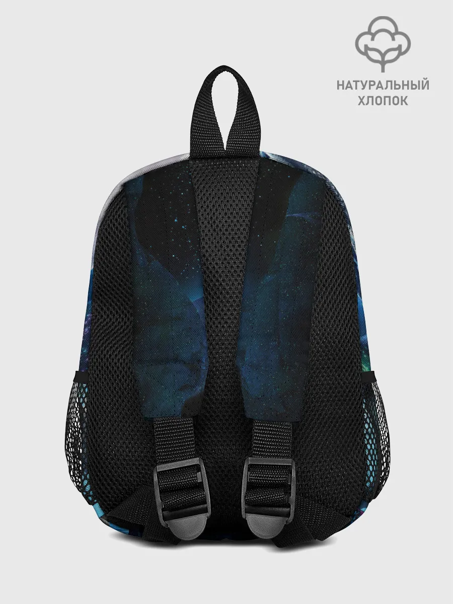 Рюкзак детский / Как приручить дракона 3