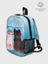 Рюкзак детский / ночная фурия