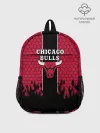 Рюкзак детский / CHICAGO BULLS