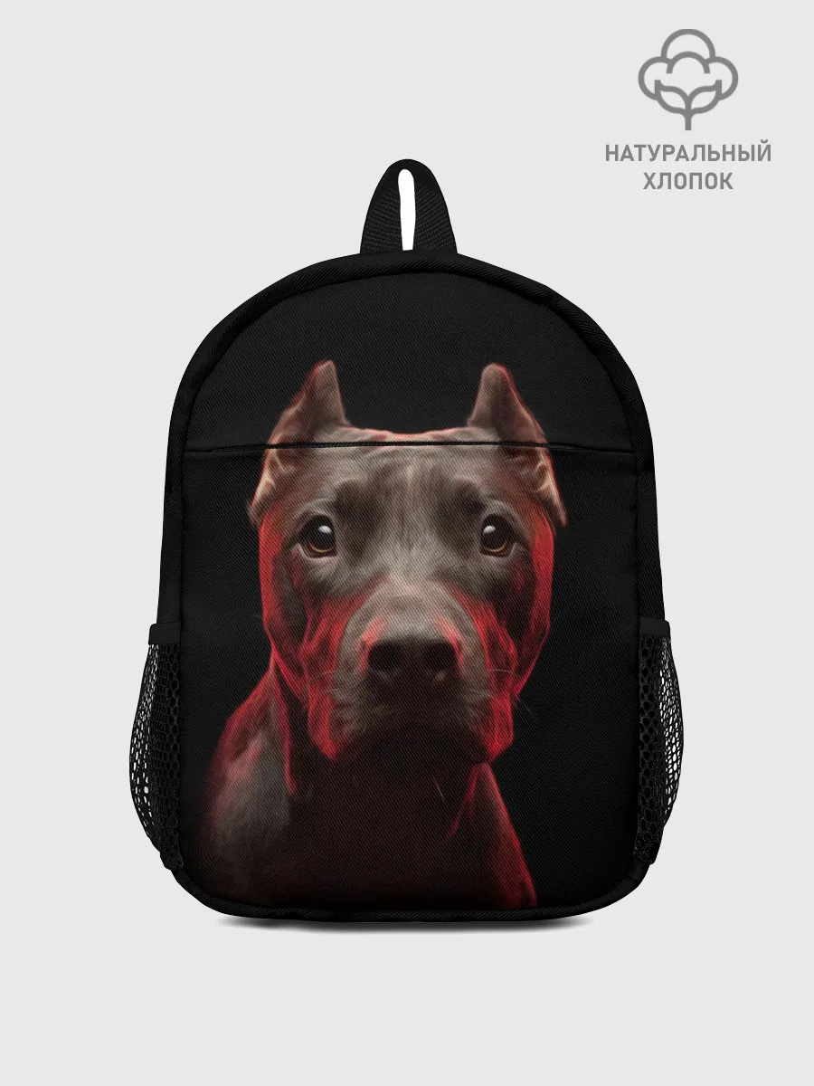 Рюкзак детский / Стафф