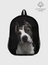 Рюкзак детский / Американский питбуль