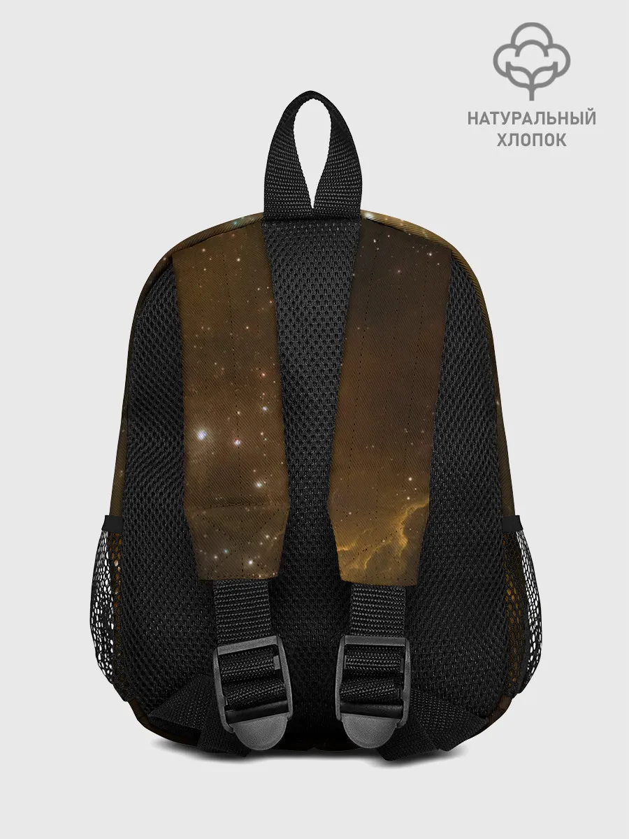 Рюкзак детский / Night Fury