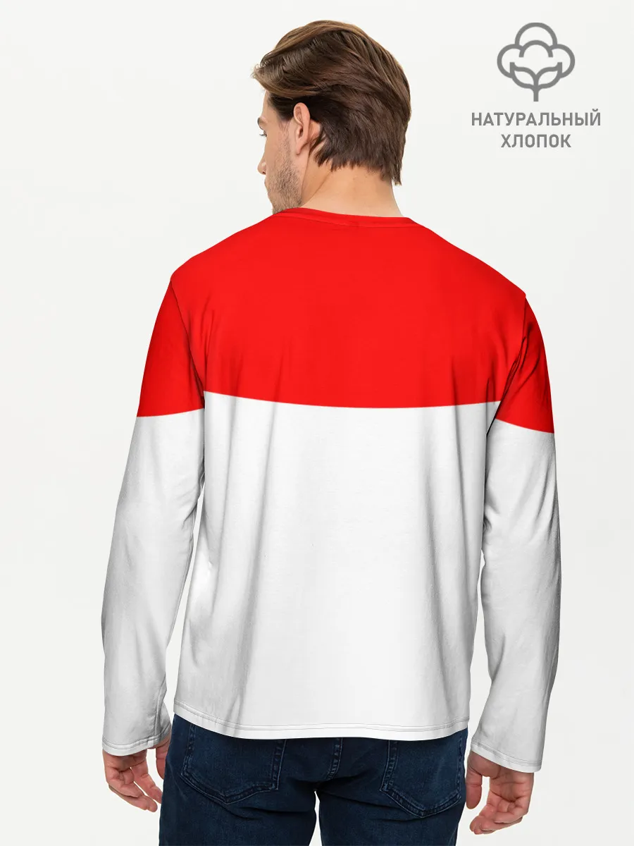 Мужской лонгслив базовый / Нико Робин | One Piece. Большой куш