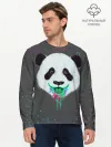 Мужской лонгслив базовый / Панда Краски Брызги