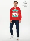 Мужской лонгслив базовый / F.C. LIVERPOOL