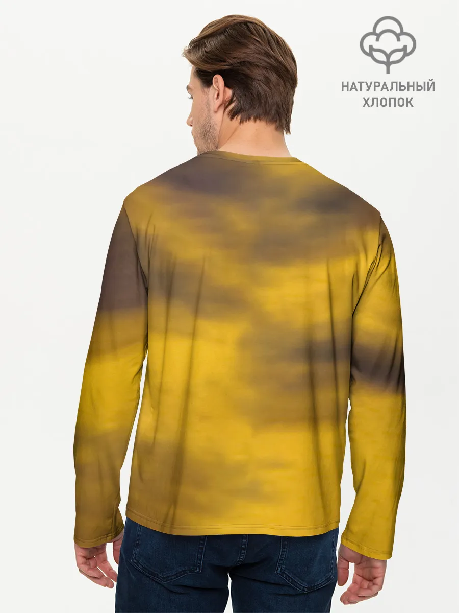 Мужской лонгслив базовый / Black-Ash Inheritance - In Flames