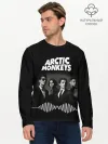 Мужской лонгслив базовый / arctic monkeys