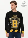 Мужской лонгслив базовый / BOSTON BRUINS