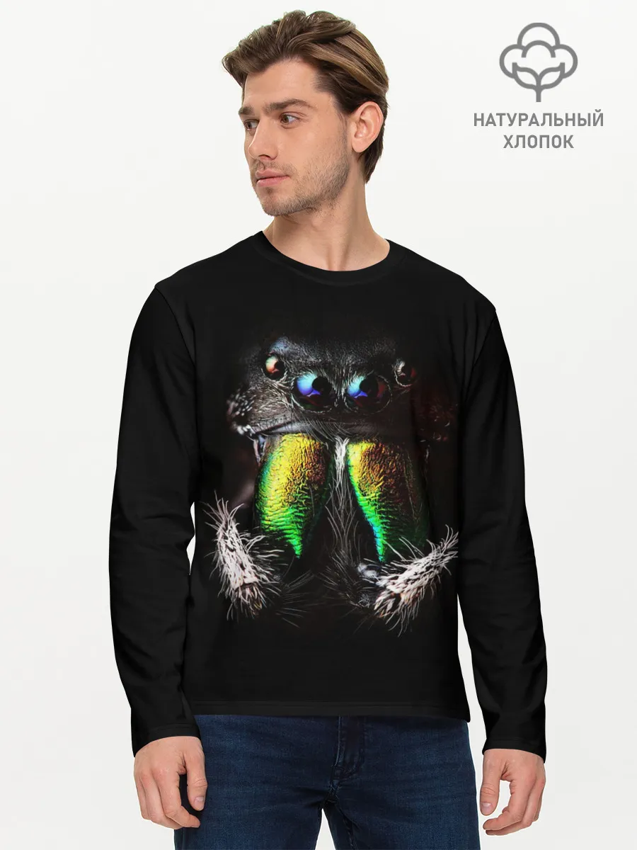 Мужской лонгслив базовый / ПАУК МАКРО СЪЕМКА