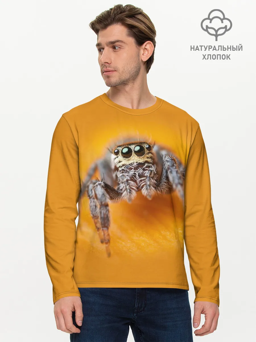 Мужской лонгслив базовый / ПАУК / SPIDER