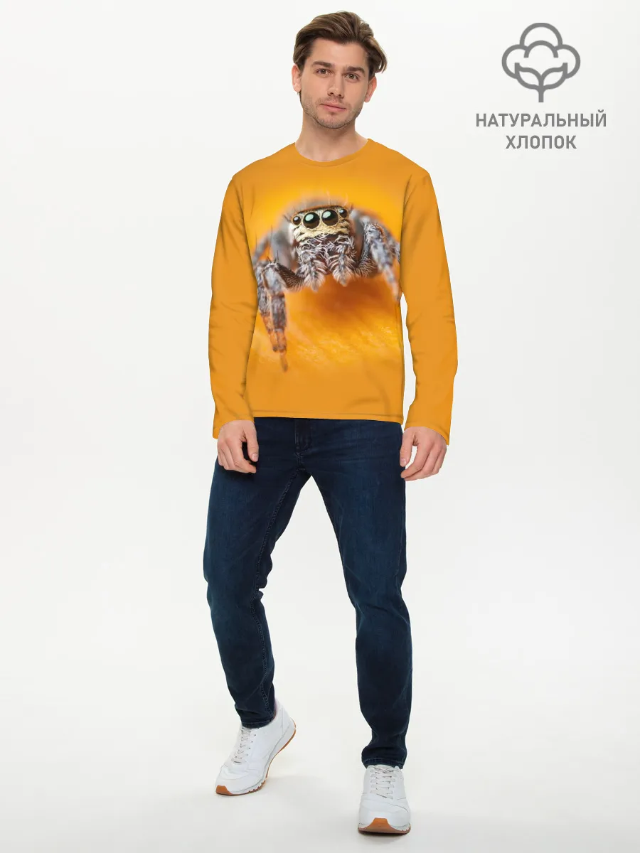 Мужской лонгслив базовый / ПАУК / SPIDER