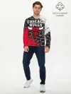 Мужской лонгслив базовый / CHICAGO BULLS [6]