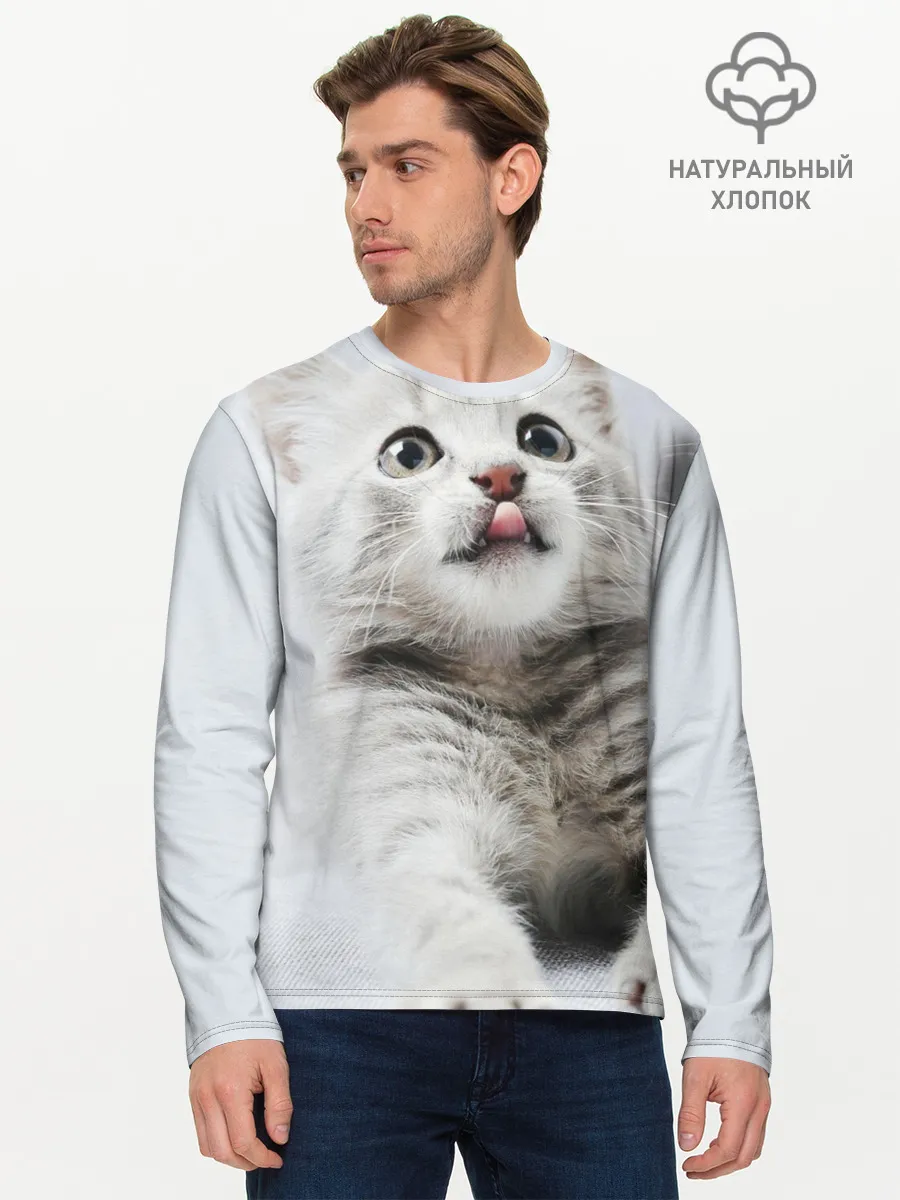 Мужской лонгслив базовый / серый котенок