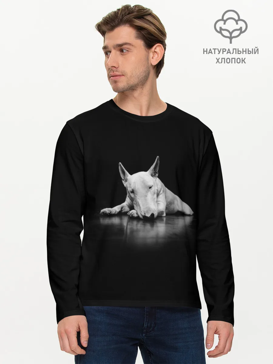 Мужской лонгслив базовый / Puppy