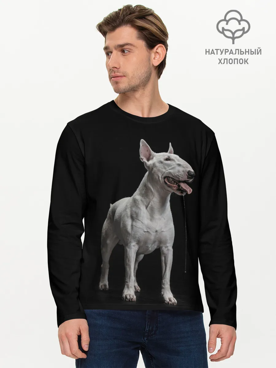 Мужской лонгслив базовый / Bully