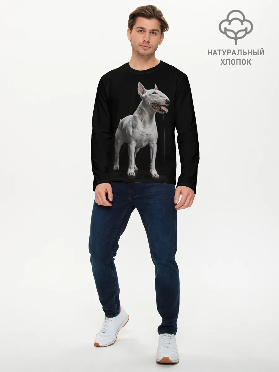 Мужской лонгслив базовый / Bully