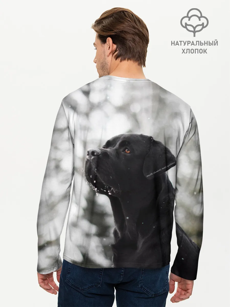 Мужской лонгслив базовый / Лабрадор Марк