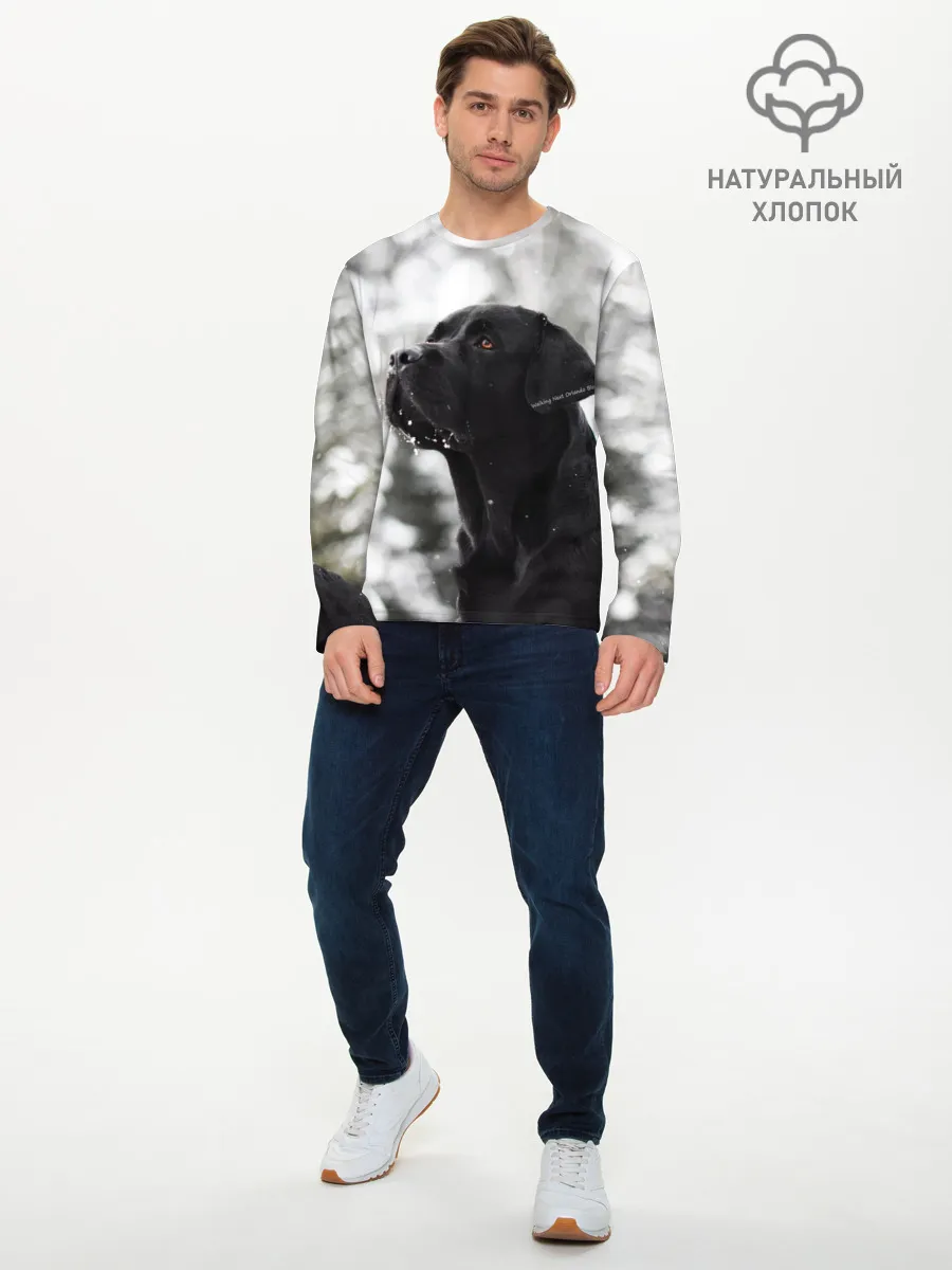 Мужской лонгслив базовый / Лабрадор Марк