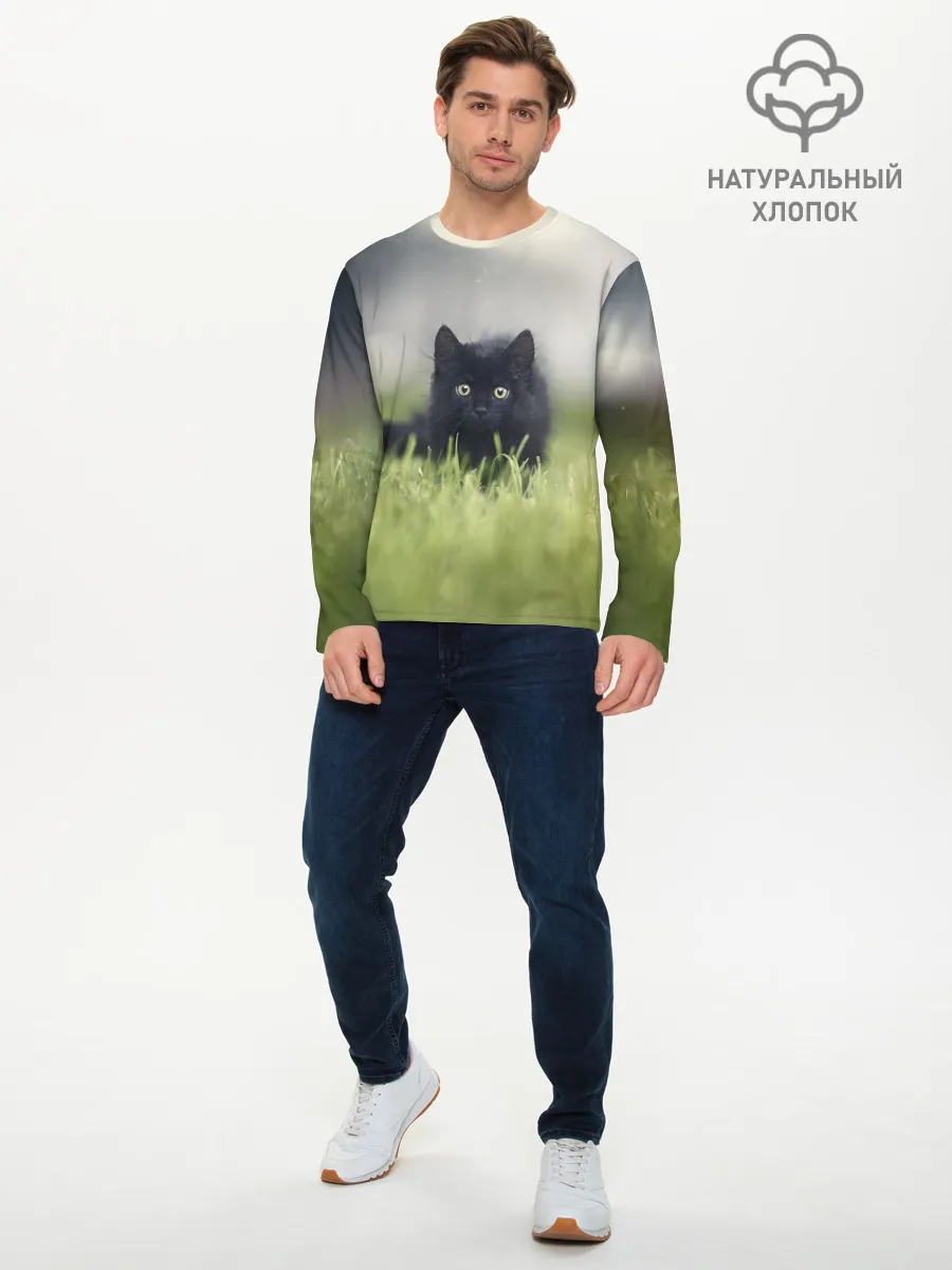 Мужской лонгслив базовый / черный кот на лугу