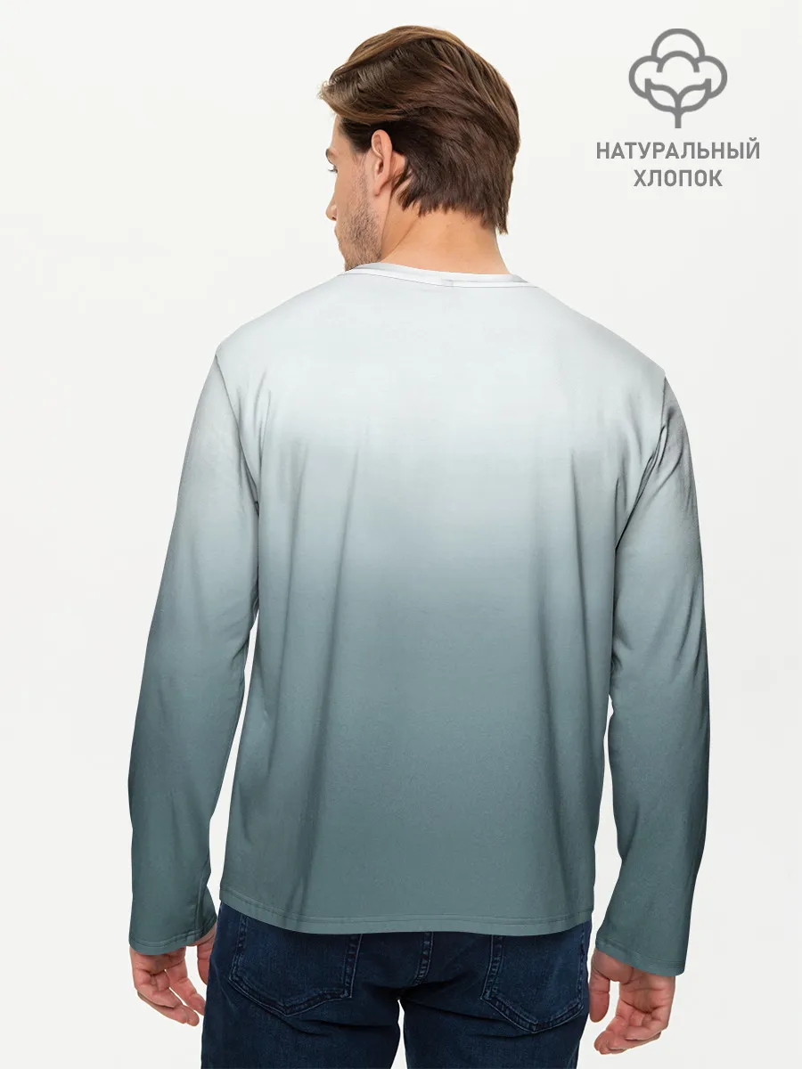 Мужской лонгслив базовый / Crow