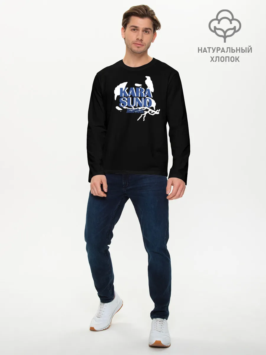 Мужской лонгслив базовый / Haikyuu Karasuno