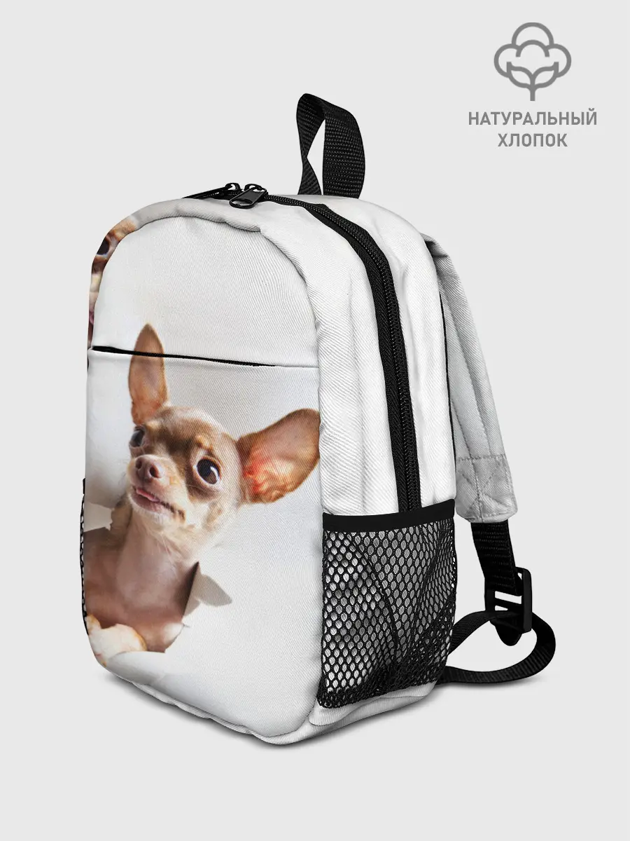 Рюкзак детский / Чихуахуа из бумаги вылазит