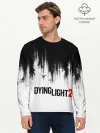 Мужской лонгслив базовый / Dying Light 2