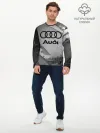Мужской лонгслив базовый / AUDI / АУДИ