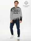 Мужской лонгслив базовый / AUDI / АУДИ