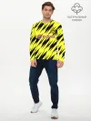 Мужской лонгслив базовый / Borussia | 2020-2021 г.