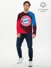 Мужской лонгслив базовый / FC BAYERN / БАВАРИЯ