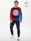 Мужской лонгслив базовый / FC BAYERN / БАВАРИЯ