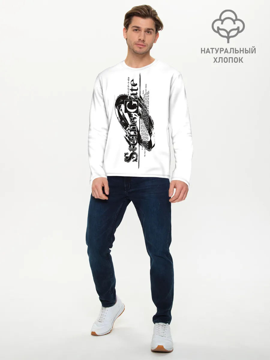 Мужской лонгслив базовый / Врата Штейна / Steins Gate