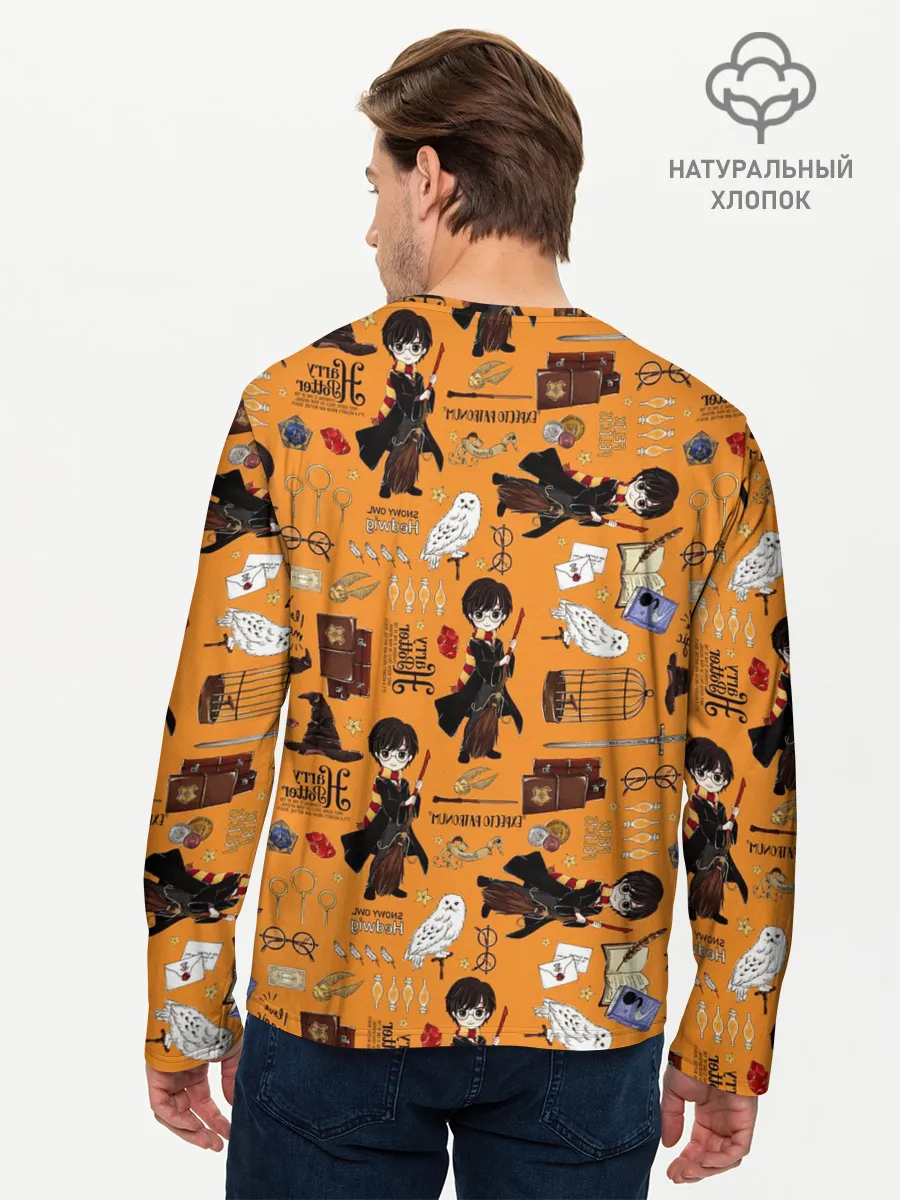 Мужской лонгслив базовый / Гарри Поттер