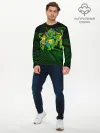 Мужской лонгслив базовый / Супер Ниндзя Черепашки