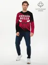 Мужской лонгслив базовый / Чикаго Буллз
