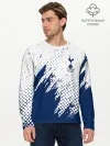 Мужской лонгслив базовый / Tottenham Hotspur.
