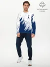 Мужской лонгслив базовый / Tottenham Hotspur.