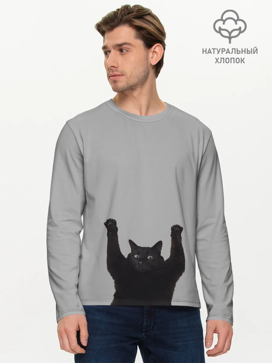 Мужской лонгслив базовый / Кот сдается