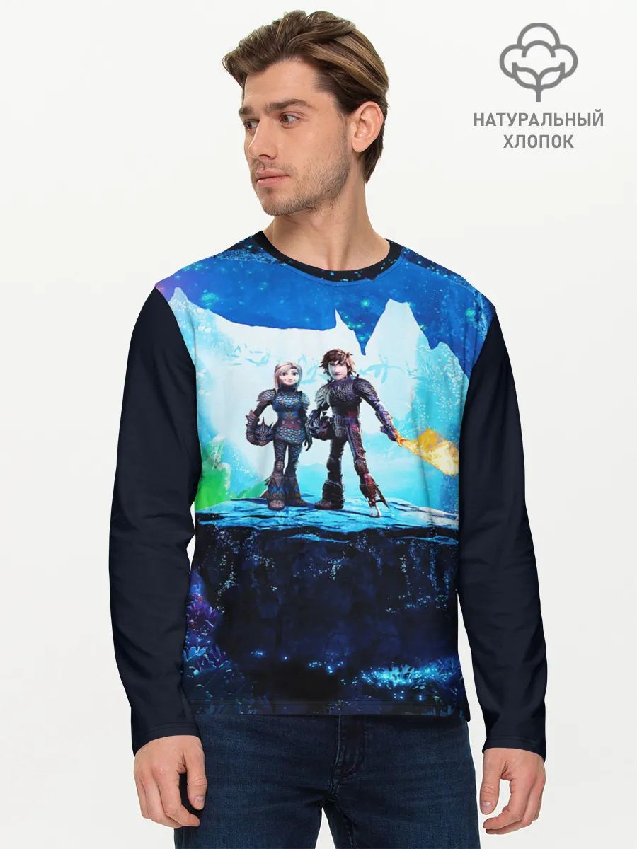 Мужской лонгслив базовый / Как приручить Дракона 3