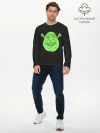 Мужской лонгслив базовый / Shreks Face