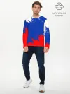 Мужской лонгслив базовый / РОССИЯ ТРИКОЛОР