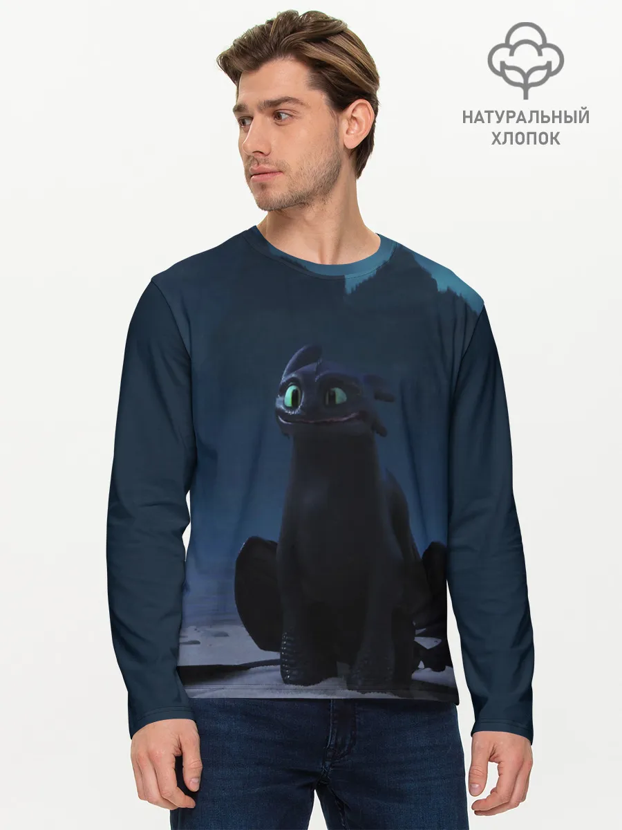 Мужской лонгслив базовый / Беззубик:Ночная Фурия