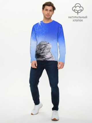 Мужской лонгслив базовый / Кот и космос