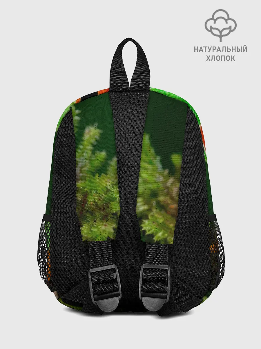 Рюкзак детский / Тропическая лягушка