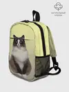 Рюкзак детский / персидская пушистая кошка
