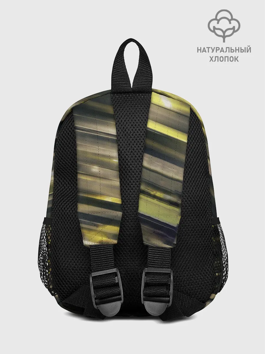 Рюкзак детский / ЕВГЕНИЙ МАЛКИН