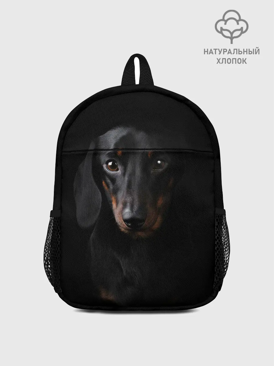 Рюкзак детский / ТАКСА