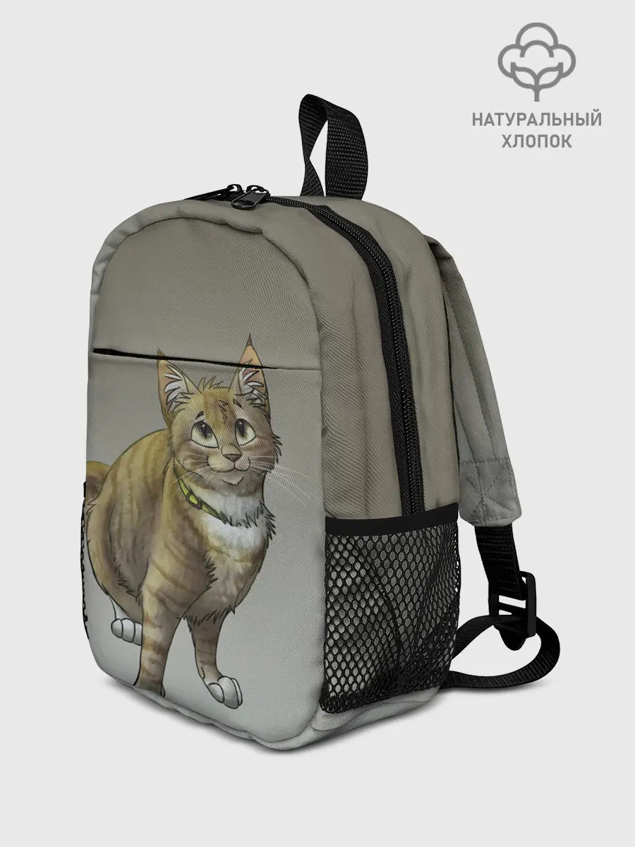 Рюкзак детский / полосатый уличный кот
