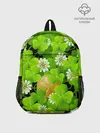 Рюкзак детский / Ирландский Клевер и Монетка